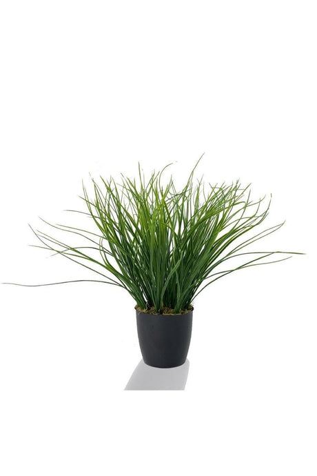 Artificial Flower Grass Thatch Artificial Plant Black Plastic Potted Decorative Ornamental Flower - Swordslife