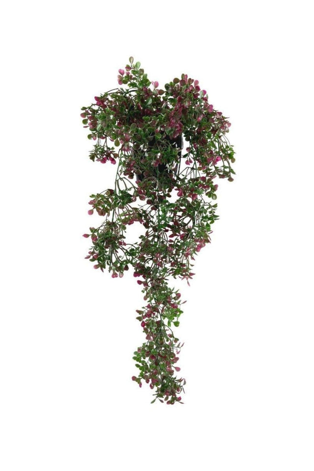 Artificial Flower Pot Hanging Burgundy Mouse Ear Boxwood Artificial Ivy Pastel 50cm - Swordslife