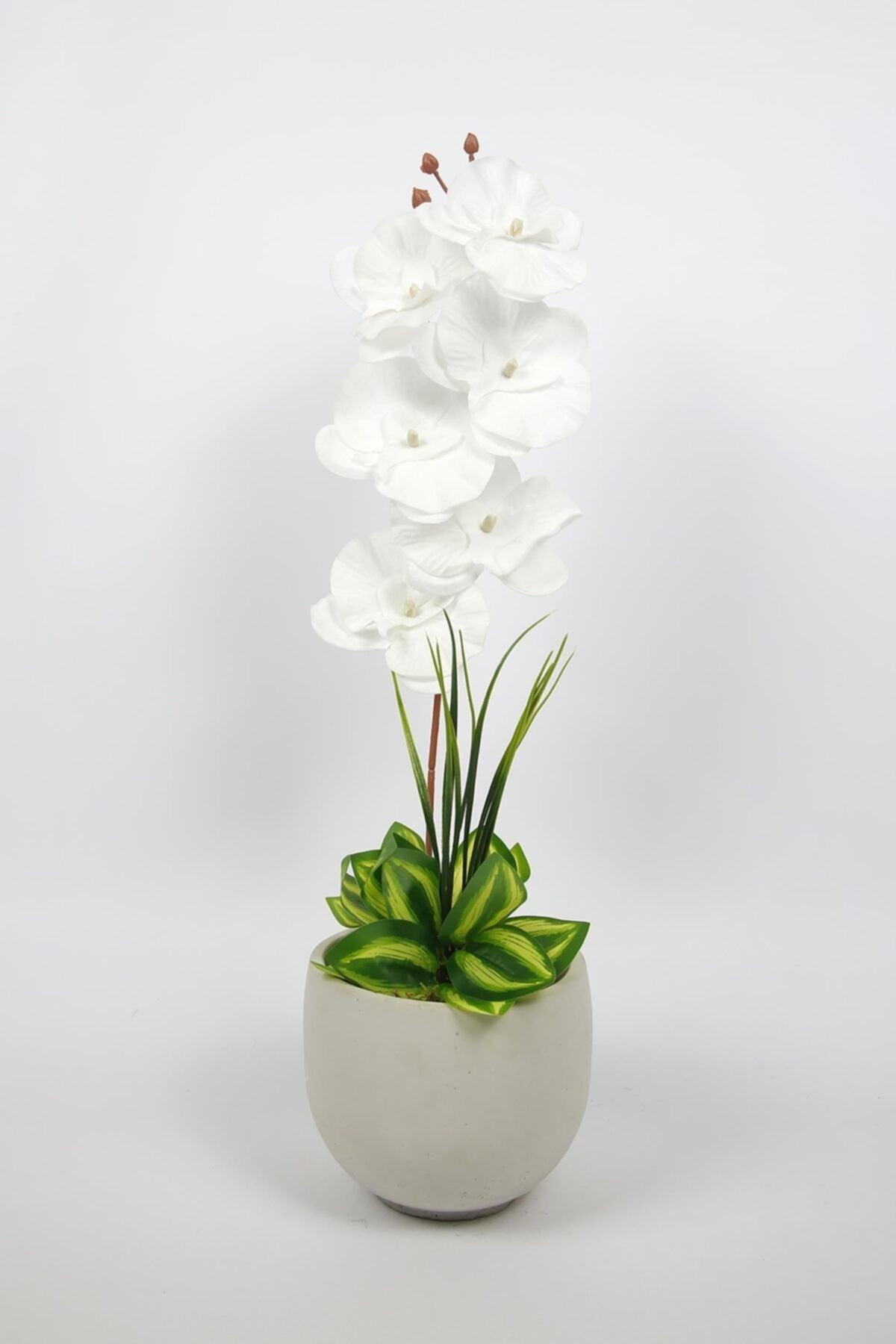 Artificial Orchid Flower in Concrete Pot - Swordslife