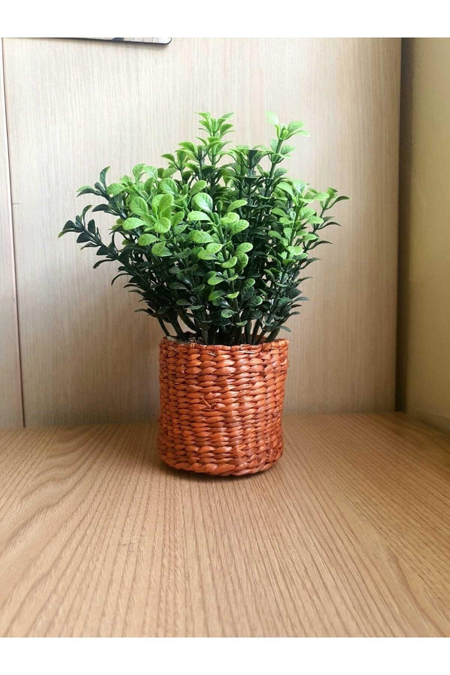 Artificial Boxwood in Wicker Pot - Swordslife