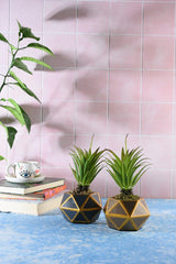 Artificial Succulent Set With Geometric Concrete Pot - Swordslife